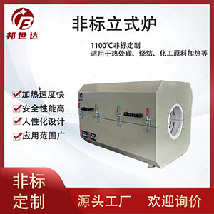 電加熱箱 熱風循環(huán)烘箱 果蔬脫水烘干箱 非標定制